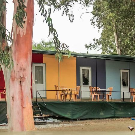 Patara Woody Hostel & Camping Bagian luar foto
