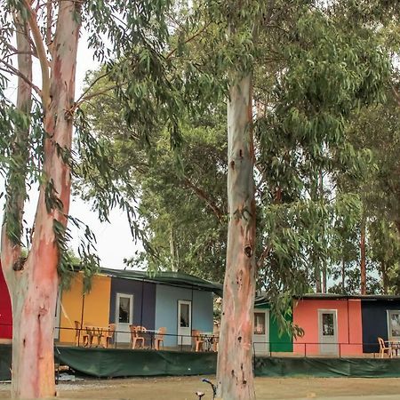 Patara Woody Hostel & Camping Bagian luar foto