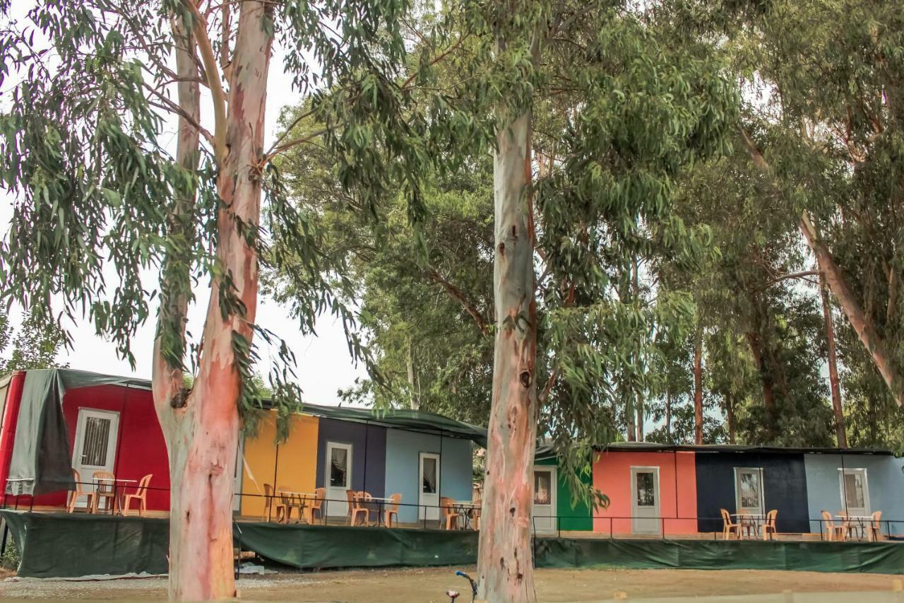 Patara Woody Hostel & Camping Bagian luar foto